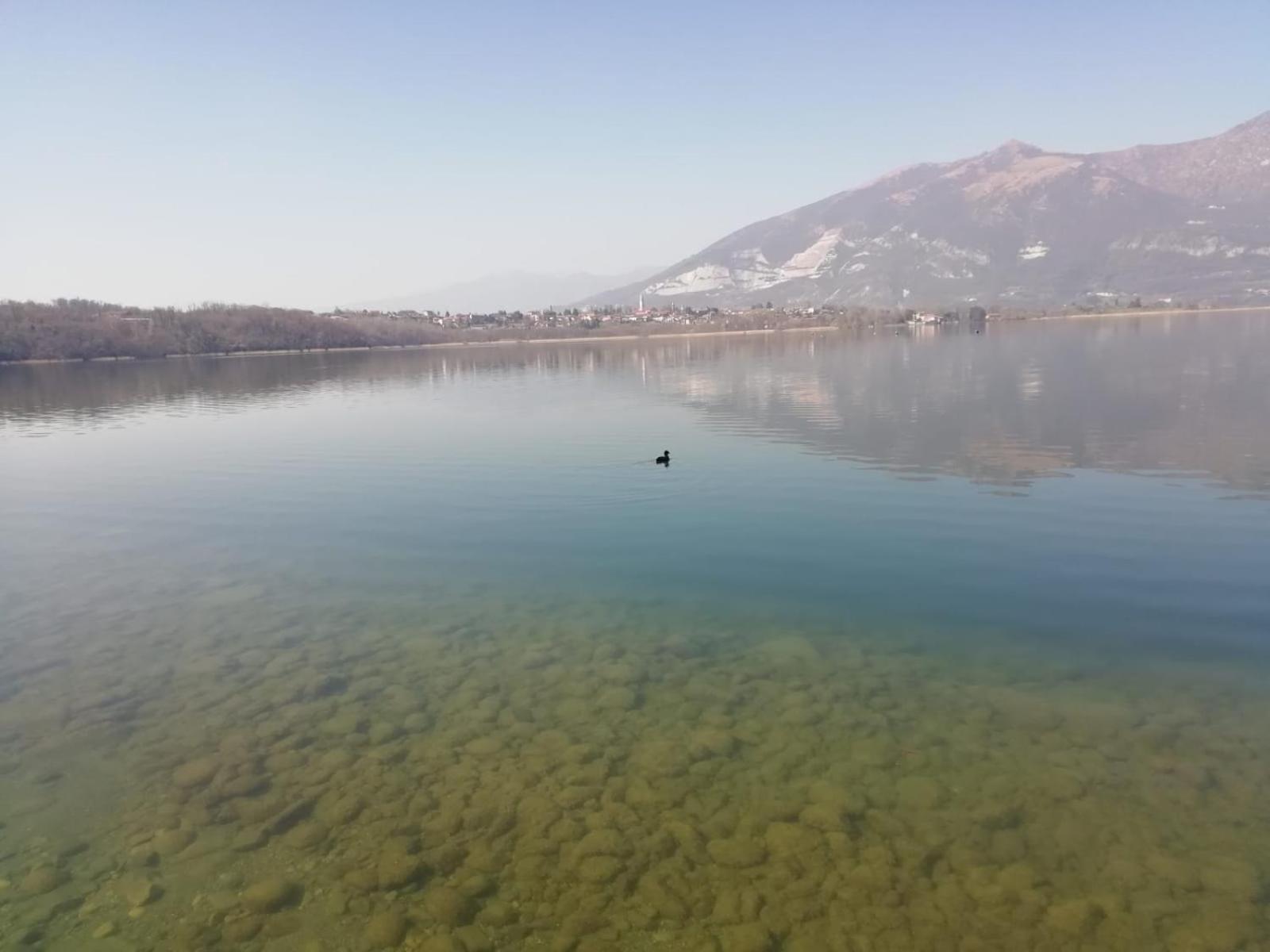 La Poesia Del Lago Oggiono Exteriör bild