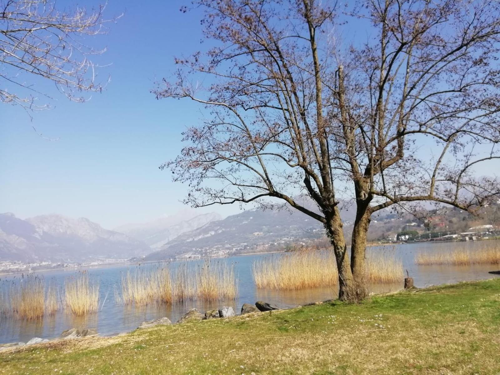 La Poesia Del Lago Oggiono Exteriör bild